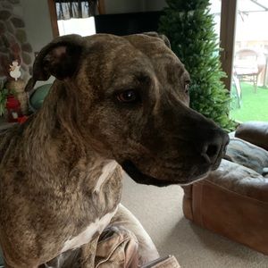 Meet your Posher, Devin